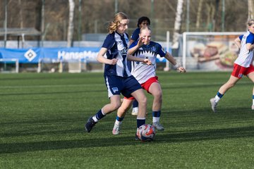 Bild 297 - wBJ Hamburger SV - Hertha BSC : Ergebnis: 2:1